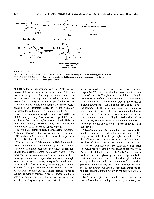 Bhagavan Medical Biochemistry 2001, page 361